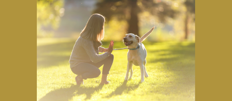 Pet Friendly Get Away Breakfast Included